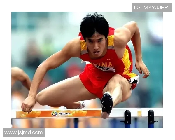 刘翔：从田径传奇到人生新征程的转变与启示