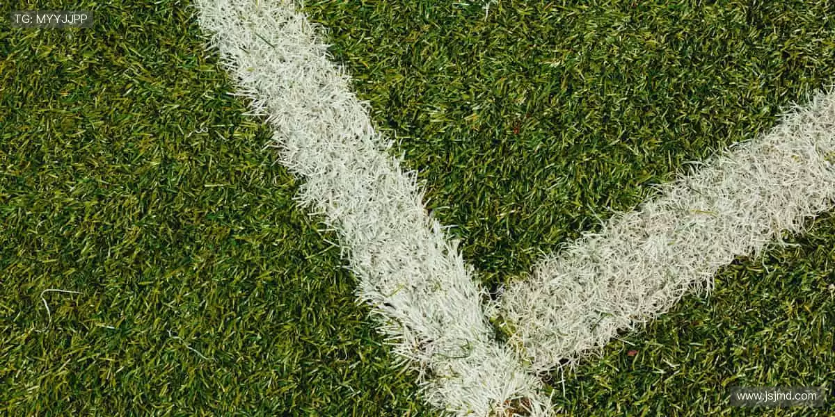 超清直播，实时互动，身临其境！📺💬